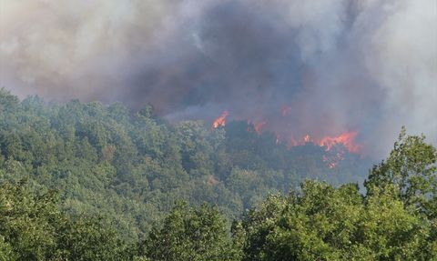 Kocaeli'nde Orman Yangını: Üç Mahalle Tahliye Edildi