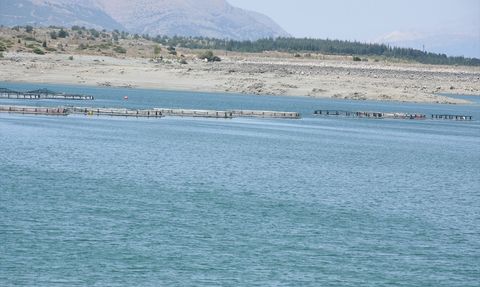 Malatya'da Alabalık Üretim Tesisi Sayısı Artıyor