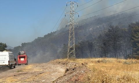 Manisa Soma'da Orman Yangını: Hızla Müdahale Ediliyor