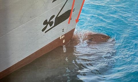 Marmara Adası'ndaki Tekne Kazasında Gemi Kaptanı Hakkında Soruşturma