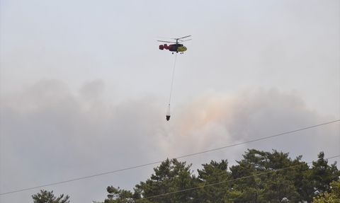 Mersin'de Orman Yangını: Mahalleler Tahliye Edildi