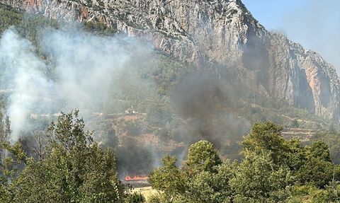 Mersin'de Orman Yangınına Hızla Müdahale Ediliyor