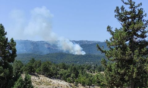 Mersin'de Ormanlık Alanda Yangın