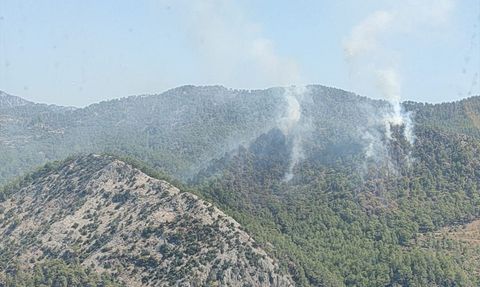 Mersin'deki Orman Yangını Kontrol Altına Alındı