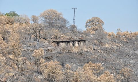 Mersin Silifke'deki Orman Yangını Sonrası AFAD Başkanından Açıklamalar