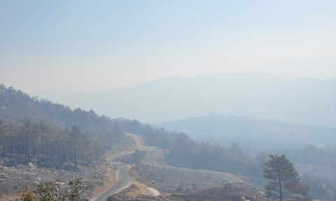 Mersin Silifke'deki Orman Yangınına Müdahale Devam Ediyor