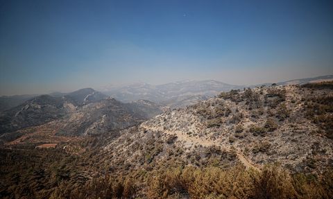 Mersin Silifke Orman Yangını Kontrol Altında