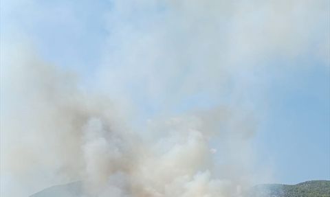 Muğla'da Orman Yangını: Ekipler Seferber Oldu