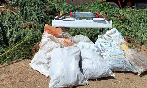 Muğla'da Uyuşturucu ve Tarihi Eser Operasyonu