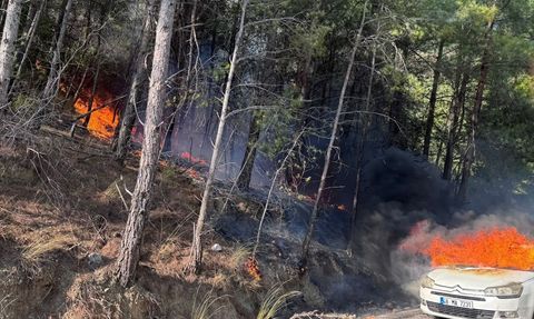 Muğla'da Yangın Tehlikesi: Otomobilden Ormana Sıçrayan Alevler Kontrol Altına Alındı