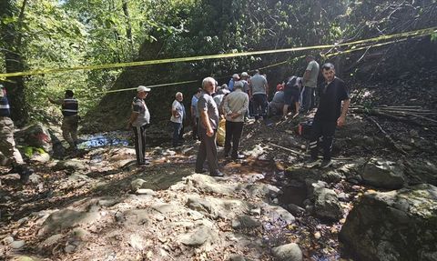 Ordu'da Fındık Toplarken Yamaçtan Düşen Kişi Hayatını Kaybetti
