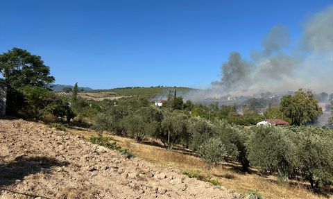 Osmaniye'de Zeytinliğe Sıçrayan Yangına Müdahale Devam Ediyor