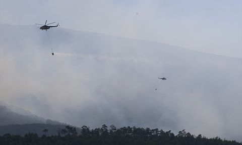 Pamukkale'deki Orman Yangını Kontrol Altına Alındı
