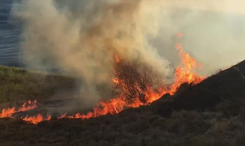Paşalimanı Adası'ndaki Orman Yangınına Müdahale Devam Ediyor