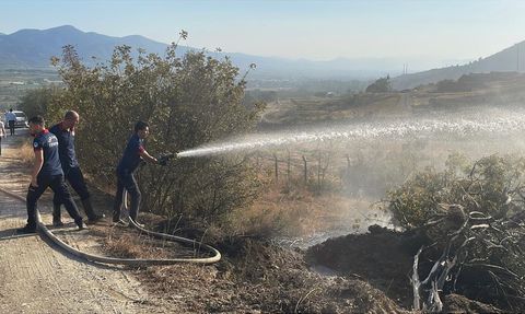 Sakarya'da Makilik Alanda Yangın Kontrol Altına Alındı