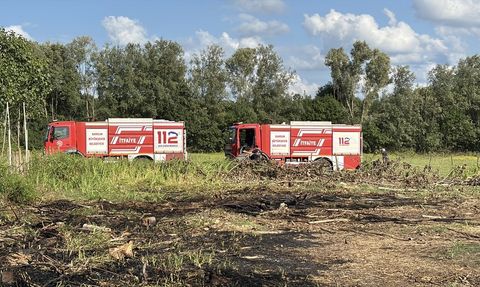 Samsun'daki Tarlada Çıkan Yangın Ormana Sıçramadan Kontrol Altına Alındı