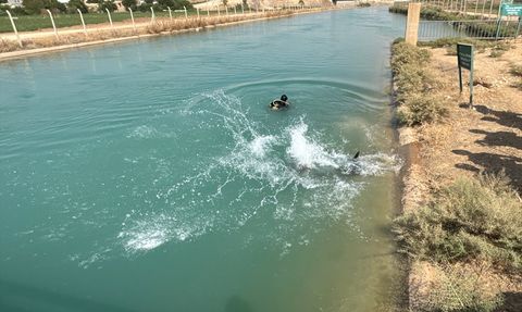 Şanlıurfa'da Akıntıya Kapılan Gençten Üzücü Haber