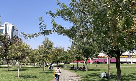 Şanlıurfa'da Kavurucu Sıcaklar Devam Ediyor