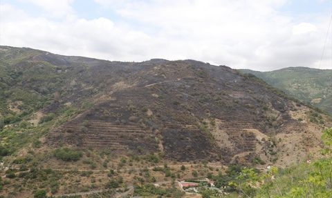 Şarköy'deki Orman Yangını Kontrol Altına Alındı