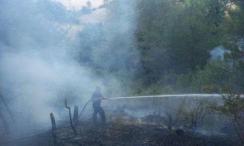 Sinop'ta Orman Yangınına Hızla Müdahale Ediliyor