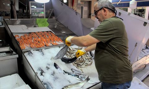 Sinop'ta Torik Sezonu Başladı