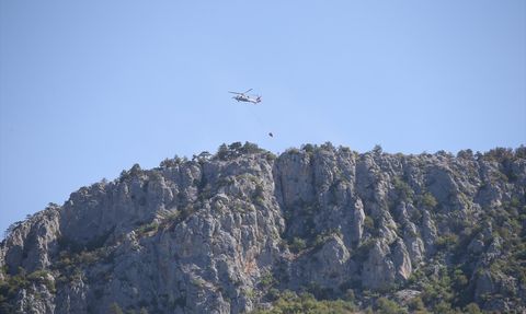 Sinop'taki Orman Yangını Kontrol Altına Alındı