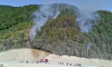 Sinop'taki Orman Yangını Kontrol Altında