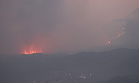 Suriye'de Orman Yangınları Devam Ediyor