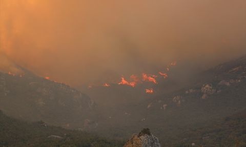 Suriye'de Orman Yangınları: Lazkiye ve Hama'da Tahliyeler Başladı