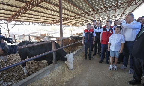 Tarım ve Orman Bakanı Yumaklı'dan Yeni Proje: Güçlü Besi Güçlü Üretim