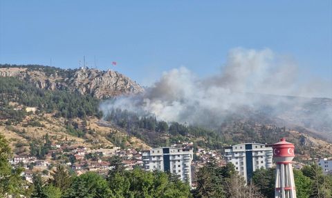 Tokat'ta Orman Yangını Galibiyeti İçin Mücadele Ediliyor