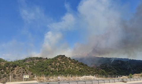 Tokat'taki Orman Yangını: Soruşturma ve Gözaltı Süreci