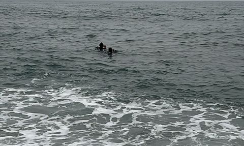 Trabzon'da Denizde Kaybolan Çocuk İçin Arama Çalışmaları Başlatıldı