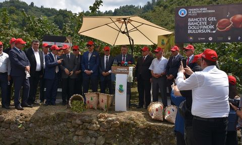 Trabzon'da Fındık Hasat Şenliği Coşkusu