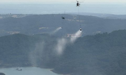 Uşak'ta Orman Yangınına Hızla Müdahale Ediliyor