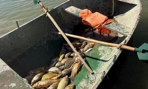 Van'da Kaçak Balık Avına Ceza