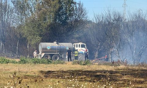Yangın Kontrol Altına Alındı: Bartın'da Tarla ve Ağaçlık Alan Temas Halinde