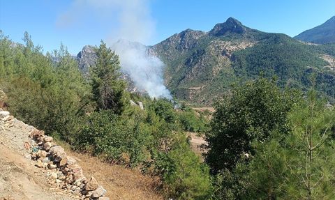 Adana'da Orman Yangını Kontrol Altına Alındı