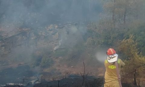Adana'daki Orman Yangını Kontrol Altına Alındı
