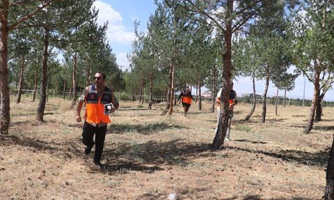 Ağrı'da AFAD Gönüllüleri Yarıştı