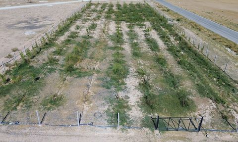 Aksaray'da Fidan Dikimi ile Yeşil Vatan Projesi