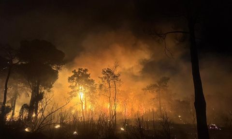 Antalya Aksu'da Orman Yangını Çıktı