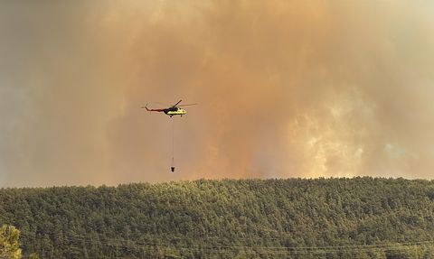 Antalya Alanya'daki Orman Yangınlarına Müdahale Devam Ediyor