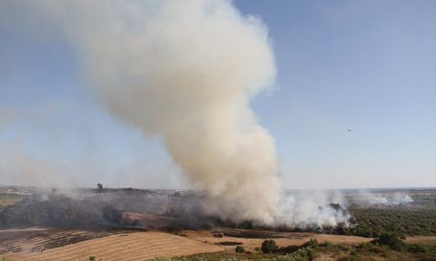 Antalya'daki Zeytin Bahçesinde Yangın Kontrol Altına Alındı