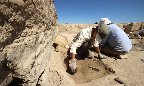 Arslantepe'de İlk Şehir Devletinin İzleri Ortaya Çıkıyor