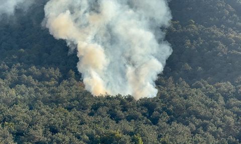 Ataşehir'de Orman Yangını Kontrol Altına Alındı