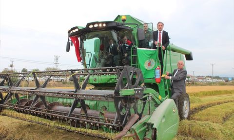 Bafra Ovası'nda 11. Çeltik Hasat Günü Coşkusu