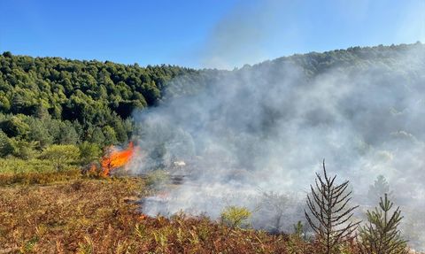Bilecik'te Orman Yangını Kontrol Altına Alındı