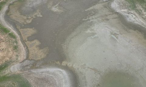 Bıyıkali Göleti'nde Su Seviyesi Tehlikeli Düzeye Düştü