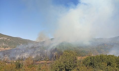 Burdur Ağlasun'daki Orman Yangınına Müdahele Devam Ediyor